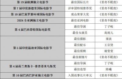赵丽颖眼光独特，丁子峻首执导棒就国际发光
