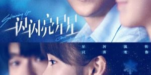 电影版《一闪一闪亮星星》下载在线免费观看【1080p高清】百度网盘链接缩略图