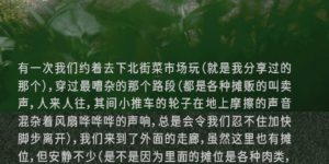 左航生日写长文遭群嘲，说是装人设，评论区乱成一锅粥，网友直言：既蠢又坏缩略图