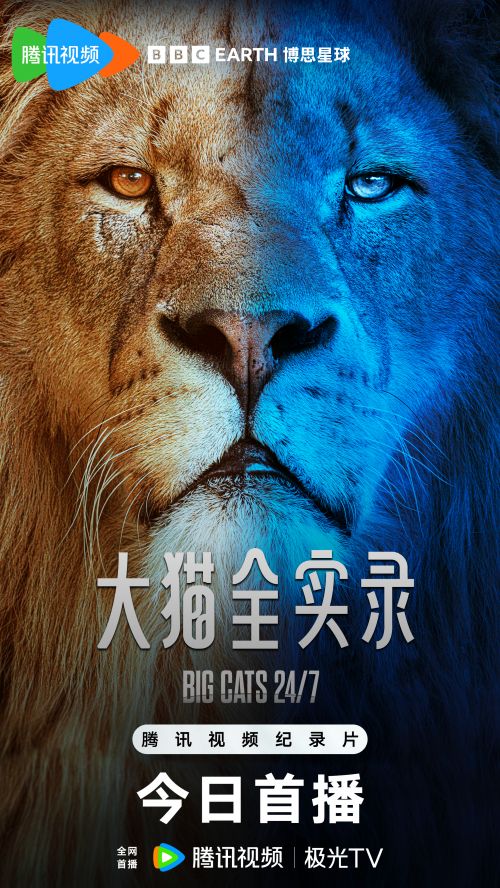 《大猫全实录》百度网盘在线免费观看〔蓝光1080P泄露版〕插图1