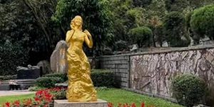 大S的墓地选好了，就在邓丽君旁边，但大家担心她能不能真正安息缩略图
