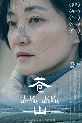 《苍山》影评：拍这部电影，正确的思路该咋整？插图