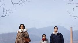 超细腻真实，讲女性故事的影片！——《但愿人长久》影评缩略图