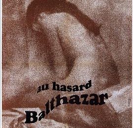 大银幕再刷《驴子巴特萨》，这次我想这么评缩略图